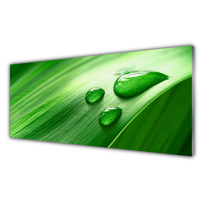 Obraz na akrylátovom skle List voda kvapka