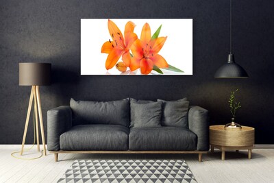 Obraz na akrylátovom skle Oranžové kvety