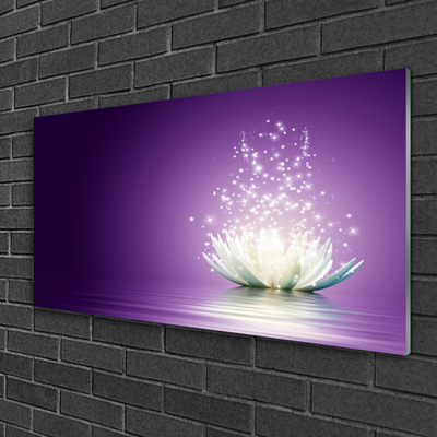 Obraz na akrylátovom skle Kvet lotosu