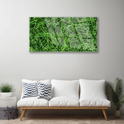 Obraz na akrylátovom skle Tráva trávnik