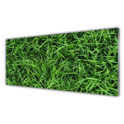 Obraz na akrylátovom skle Tráva trávnik