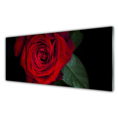 Obraz na akrylátovom skle Ruže