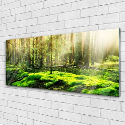 Obraz na akrylátovom skle Mech les príroda