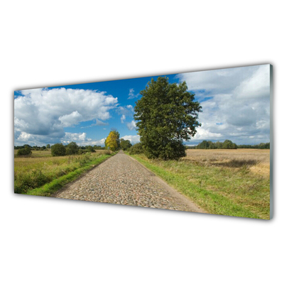Obraz na akrylátovom skle Dedina cesta dlažba krajina