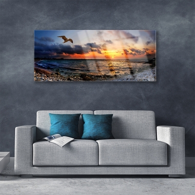 Obraz na akrylátovom skle Čajka more pláž krajina
