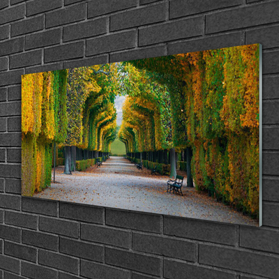 Obraz na akrylátovom skle Park jeseň záhrada príroda