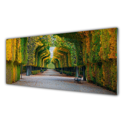 Obraz na akrylátovom skle Park jeseň záhrada príroda