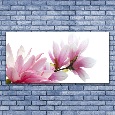 Obraz na akrylátovom skle Magnolie kvet