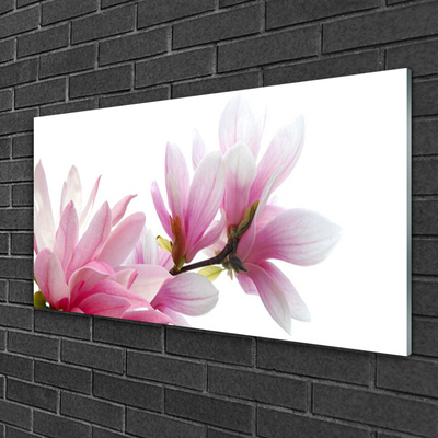 Obraz na akrylátovom skle Magnolie kvet