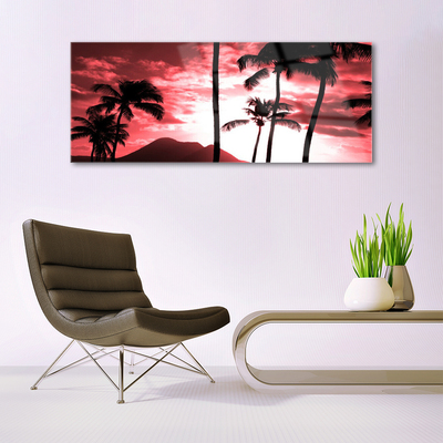 Obraz na akrylátovom skle Hora palmy stromy príroda