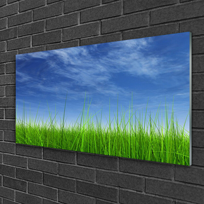 Obraz na akrylátovom skle Nebo tráva príroda