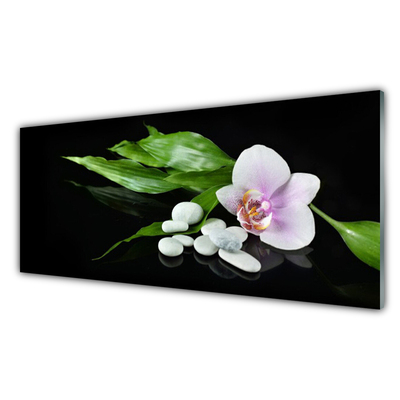 Obraz na akrylátovom skle Kvet kamene lístie