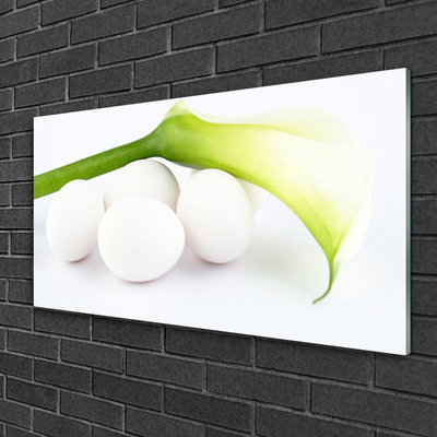 Obraz na akrylátovom skle Vajíčka