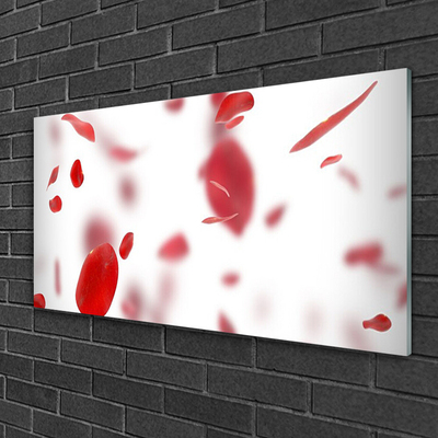 Obraz na akrylátovom skle Ruže plátky