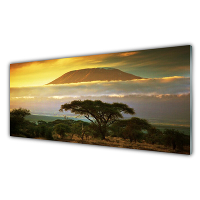 Obraz na akrylátovom skle Strom hory príroda