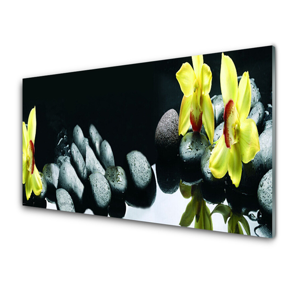 Obraz na akrylátovom skle Kvet kamene