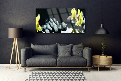 Obraz na akrylátovom skle Kvet kamene