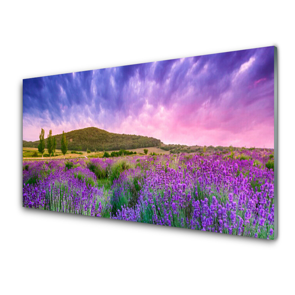 Obraz na akrylátovom skle Lúka kvety hory príroda