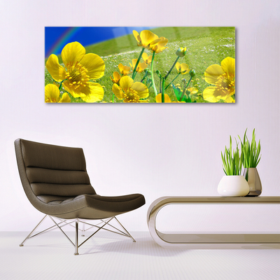 Obraz na akrylátovom skle Lúka kvety dúha príroda