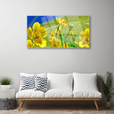 Obraz na akrylátovom skle Lúka kvety dúha príroda