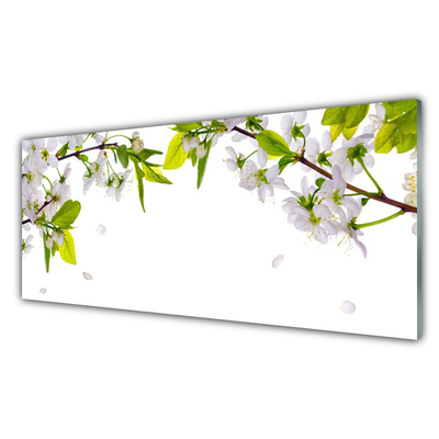 Obraz na akrylátovom skle Plátky príroda
