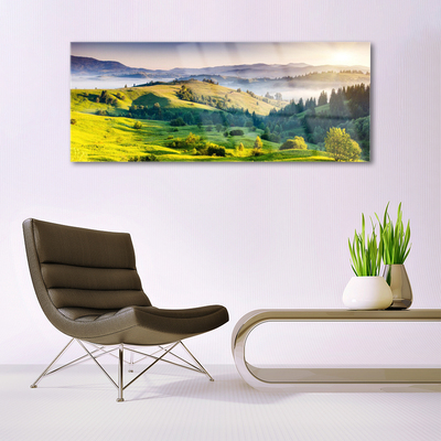 Obraz na akrylátovom skle Hora pole hmla príroda