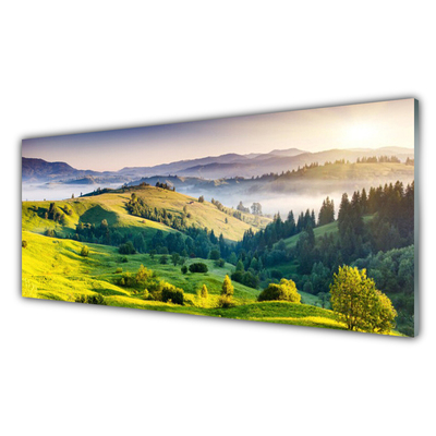 Obraz na akrylátovom skle Hora pole hmla príroda