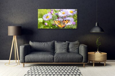 Obraz na akrylátovom skle Kvety motýľ príroda