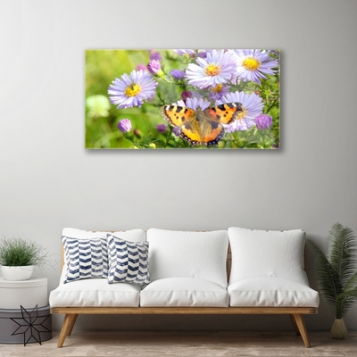 Obraz na akrylátovom skle Kvety motýľ príroda