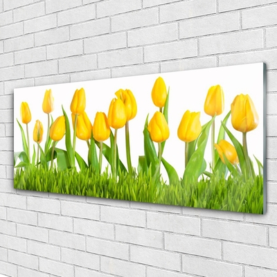 Obraz na akrylátovom skle Tulipány