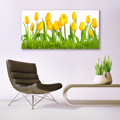 Obraz na akrylátovom skle Tulipány