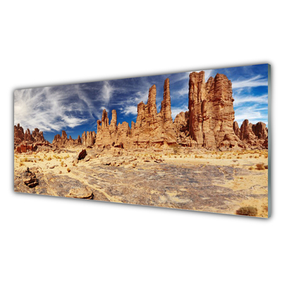 Obraz na akrylátovom skle Púšť krajina
