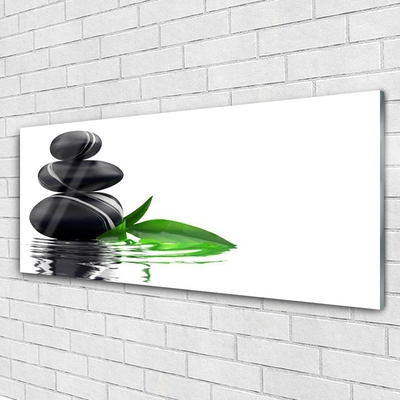 Obraz na akrylátovom skle Kamene listy voda umenie