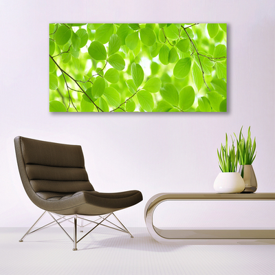 Obraz na akrylátovom skle Listy príroda