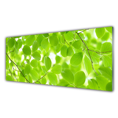 Obraz na akrylátovom skle Listy príroda