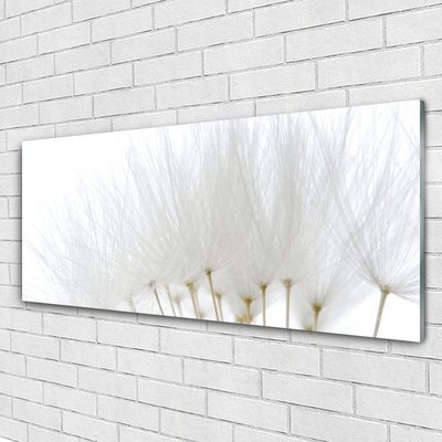 Obraz na akrylátovom skle Kvety