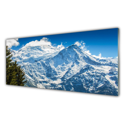Obraz na akrylátovom skle Hora strom príroda