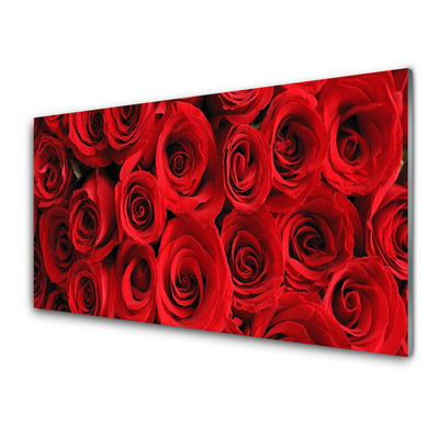 Obraz na akrylátovom skle Ruže kvety