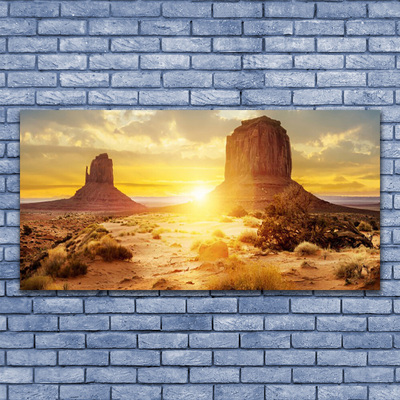 Obraz na akrylátovom skle Púšť slnko krajina