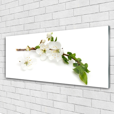 Obraz na akrylátovom skle Kvet vetva príroda