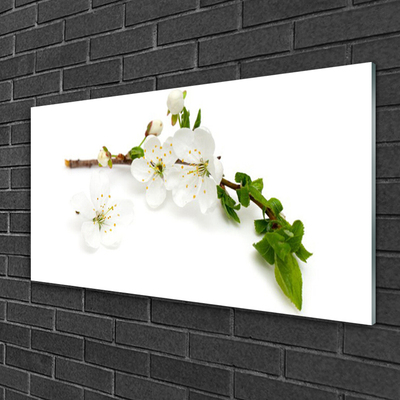 Obraz na akrylátovom skle Kvet vetva príroda