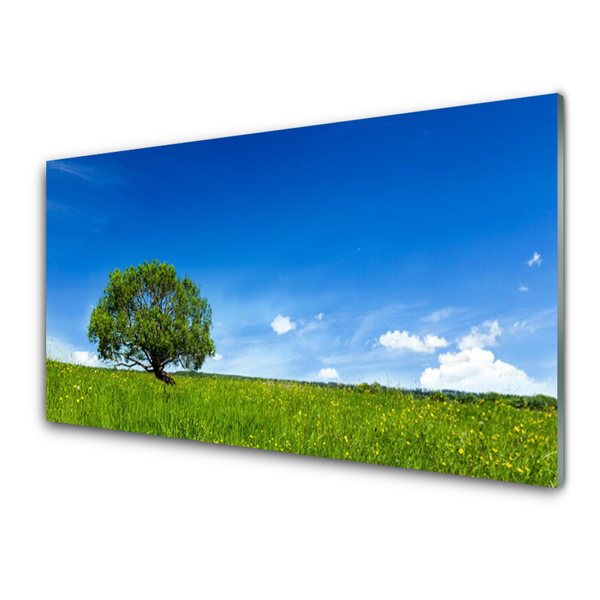 Obraz na akrylátovom skle Tráva strom príroda