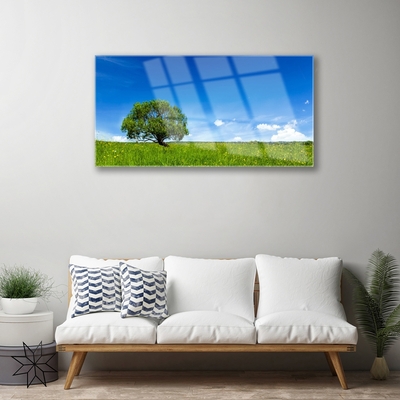 Obraz na akrylátovom skle Tráva strom príroda