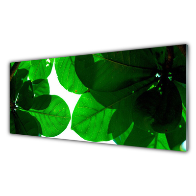 Obraz na akrylátovom skle Listy