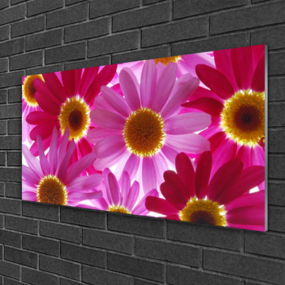 Obraz na akrylátovom skle Kvety