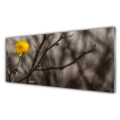 Obraz na akrylátovom skle Vetva kvet