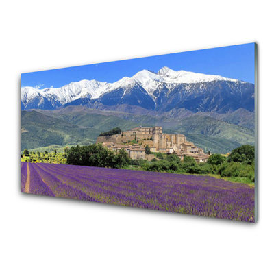 Obraz na akrylátovom skle Lúka kvety hory príroda