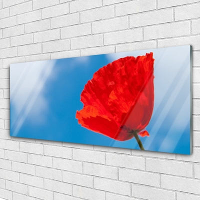 Obraz na akrylátovom skle Tulipán