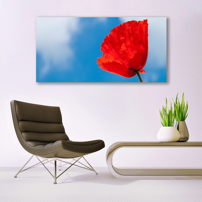 Obraz na akrylátovom skle Tulipán