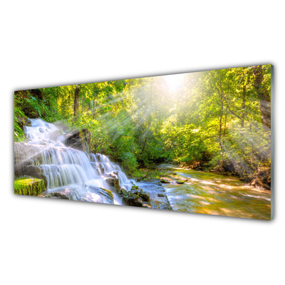 Obraz na akrylátovom skle Vodopád les príroda